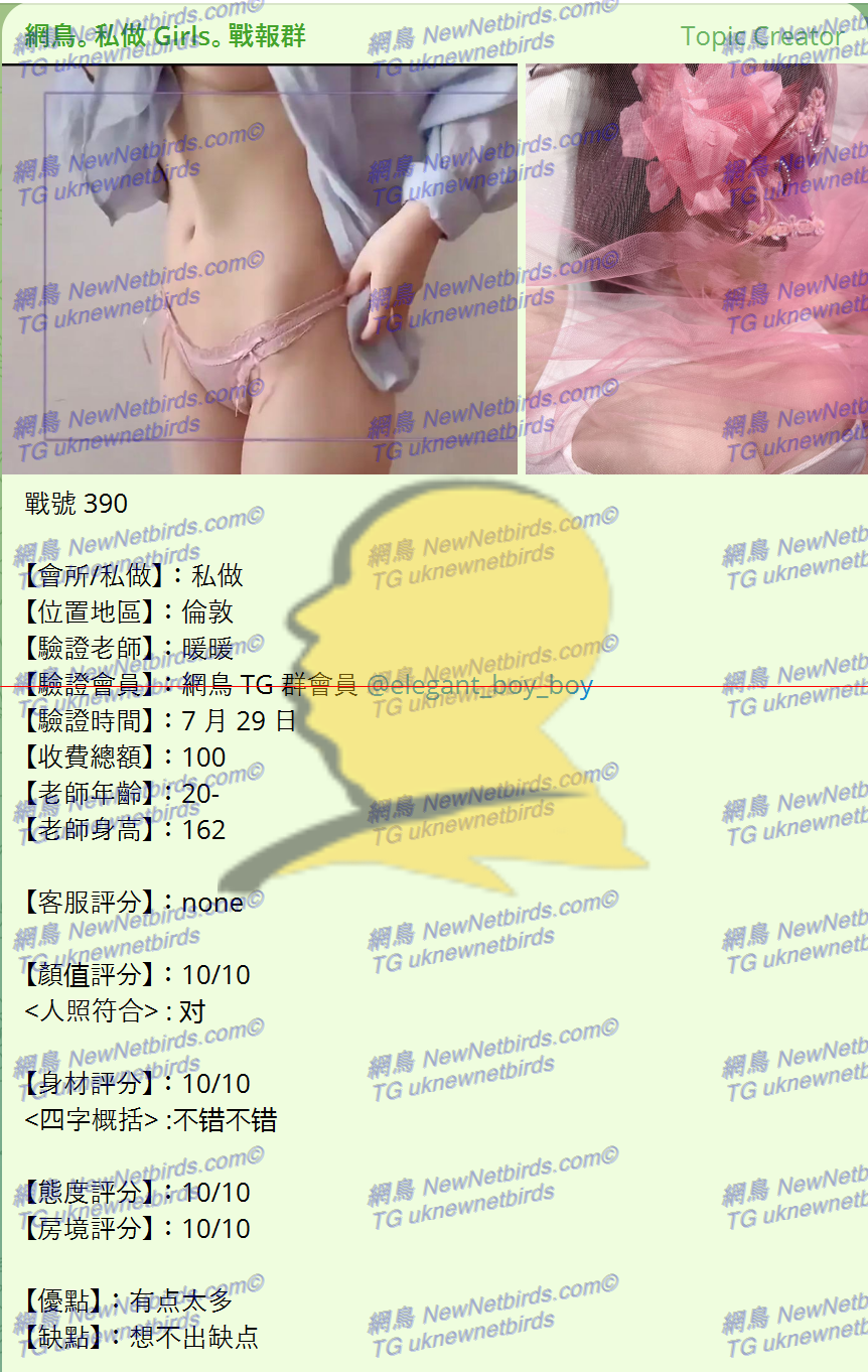 戰號 390 1.png